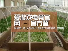 环境展示五