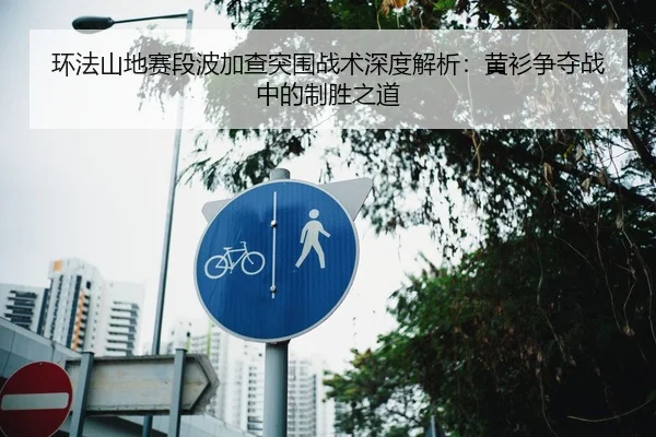 环法山地赛段波加查突围战术深度解析：黄衫争夺战中的制胜之道