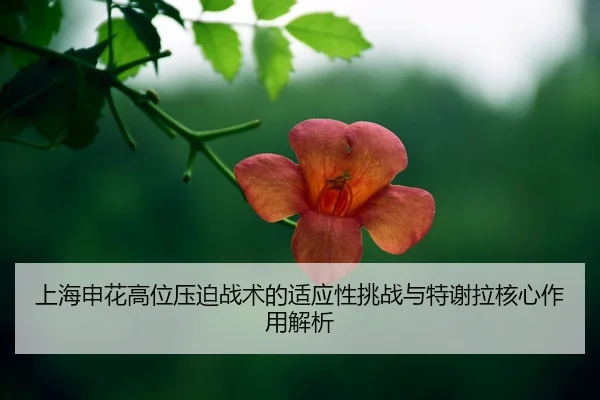 shang-hai-shen-hua-gao-wei-ya-po-zhan-shu-de-shi-ying-xing-tiao-zhan-yu-te-xie-la-he-xin-zuo-yong-jie-xi-2-241.jpg