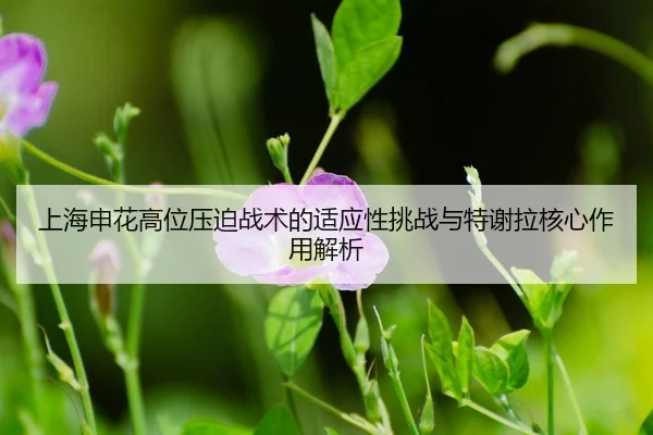 shang-hai-shen-hua-gao-wei-ya-po-zhan-shu-de-shi-ying-xing-tiao-zhan-yu-te-xie-la-he-xin-zuo-yong-jie-xi-3-800.jpg