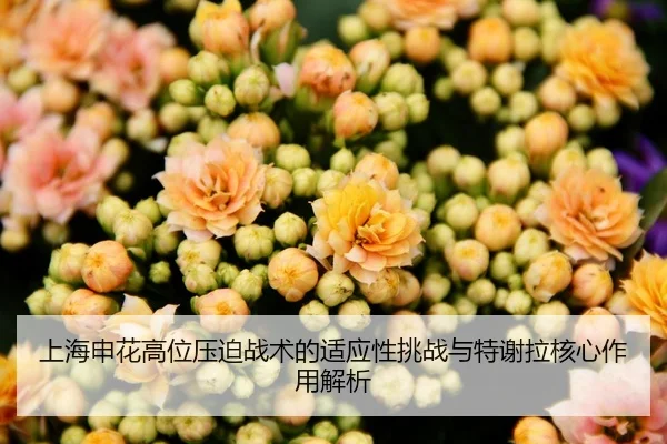 上海申花高位压迫战术的适应性挑战与特谢拉核心作用解析