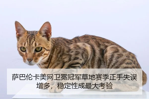 萨巴伦卡美网卫冕冠军草地赛季正手失误增多，稳定性成最大考验