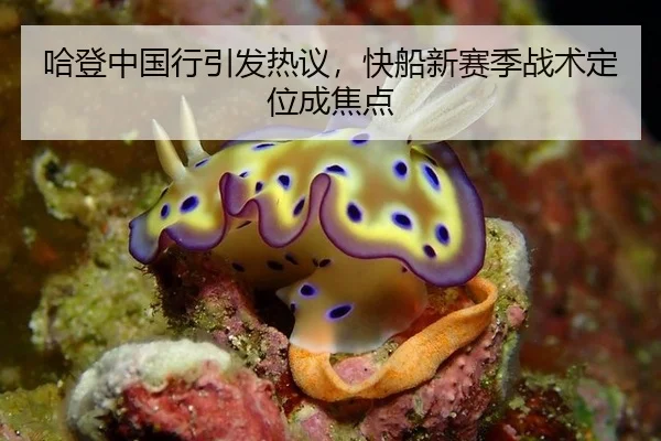 哈登中国行引发热议，快船新赛季战术定位成焦点