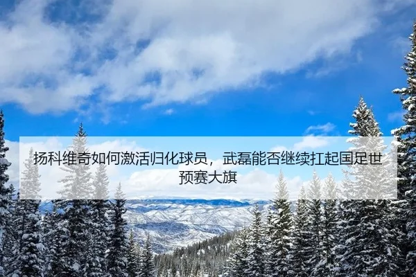 扬科维奇如何激活归化球员，武磊能否继续扛起国足世预赛大旗