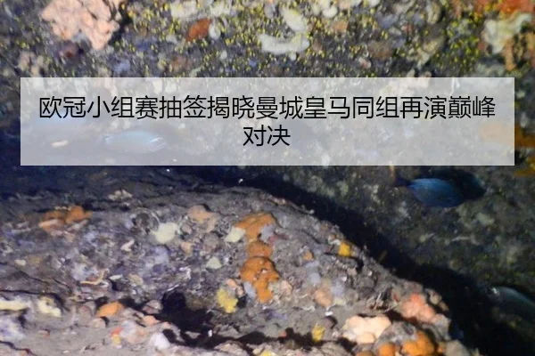 欧冠小组赛抽签揭晓曼城皇马同组再演巅峰对决
