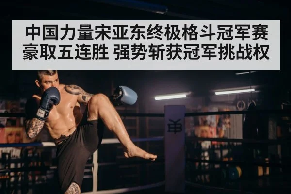 中国力量宋亚东终极格斗冠军赛豪取五连胜 强势斩获冠军挑战权