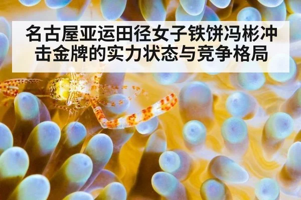 名古屋亚运田径女子铁饼冯彬冲击金牌的实力状态与竞争格局
